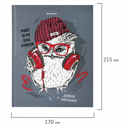 Дневник 1-11 класс 40 л., твердый, BRAUBERG, глянцевая ламинация, «Cool Owl»