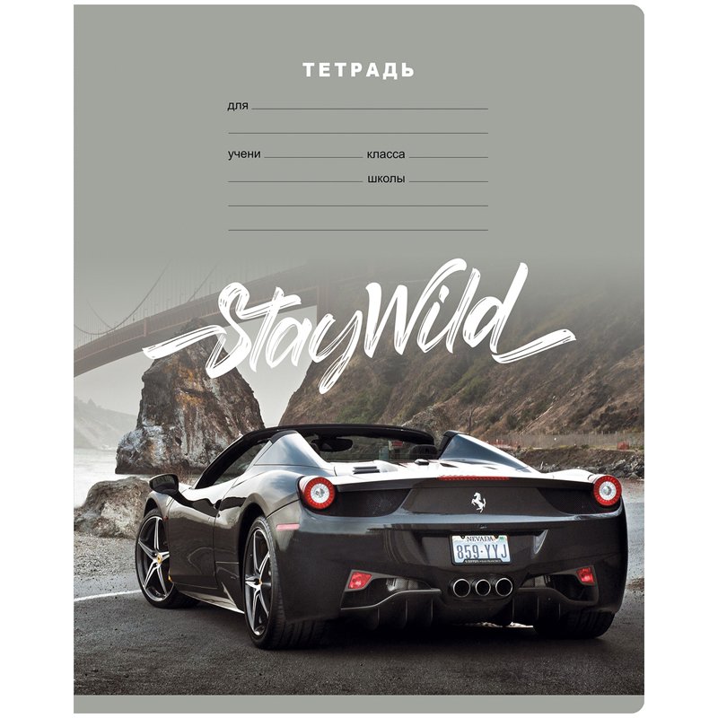 Тетрадь 12л., клетка BG «Stay wild», выборочный лак