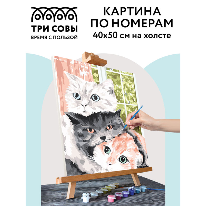Картина по номерам на холсте ТРИ СОВЫ «Друзья», 40×50, с акриловыми красками и кистями