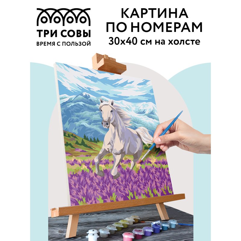 Картина по номерам на холсте ТРИ СОВЫ «Свобода», 30×40, с акриловыми красками и кистями