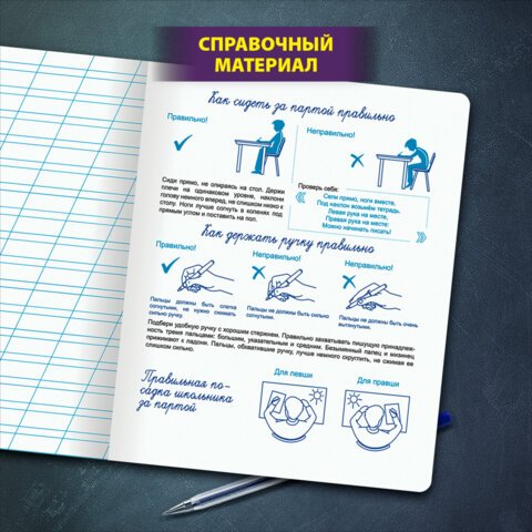 Тетрадь УЧУСЬ ПИСАТЬ № 4 12 л. косая линия, со справочным материалом, обложка картон, ЮНЛАНДИЯ