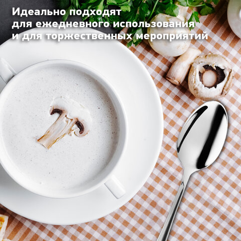Ложки столовые STANDARD КОМПЛЕКТ 6 шт., полированная нержавеющая сталь, серебристые, ПАКЕТ, DASWERK, 881143