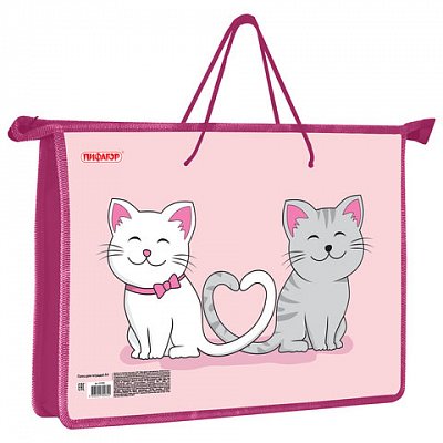 Папка на молнии с ручками ПИФАГОР А4, 1 отделение, пластик, ручки-шнурок, «Best Buds»