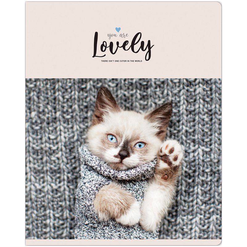 Тетрадь 48л., А5, клетка ArtSpace «Питомцы. Lovely Cat», эконом