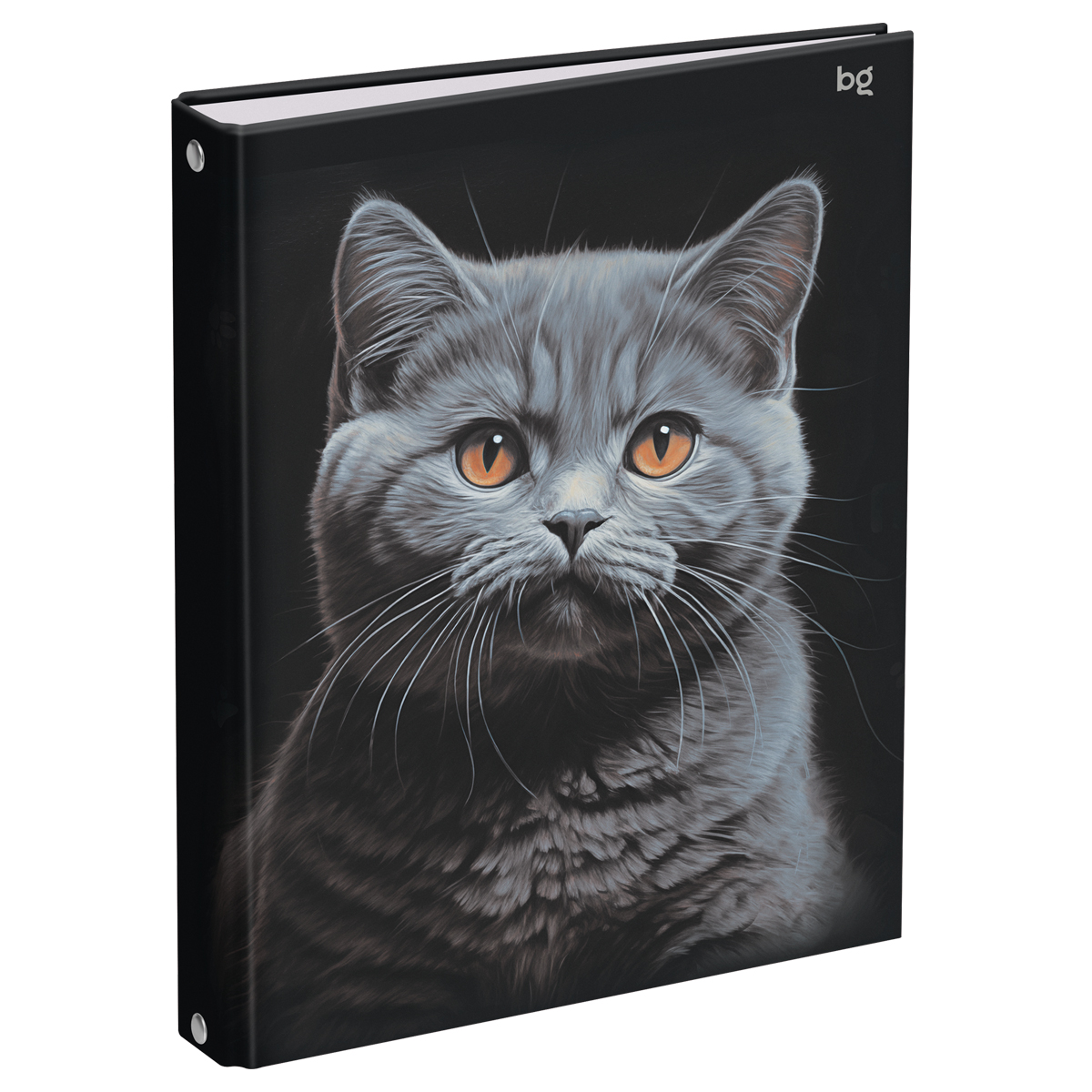 превью Тетрадь на кольцах А5, 160л., BG «Кот», глянцевая ламинация