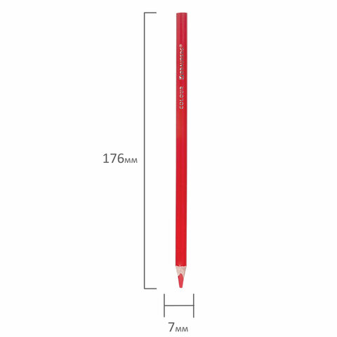 Карандаши цветные пластиковые, BRAUBERG PREMIUM 24 цвета + 2 чернографитных карандаша