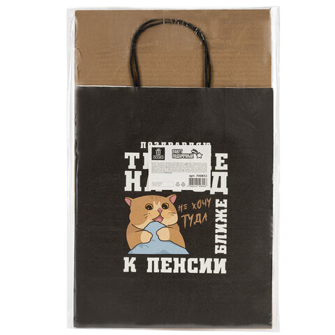 Пакет подарочный (1 штука) 26×13х32 см (L) «Поздравляю! », крафт, ЗОЛОТАЯ СКАЗКА