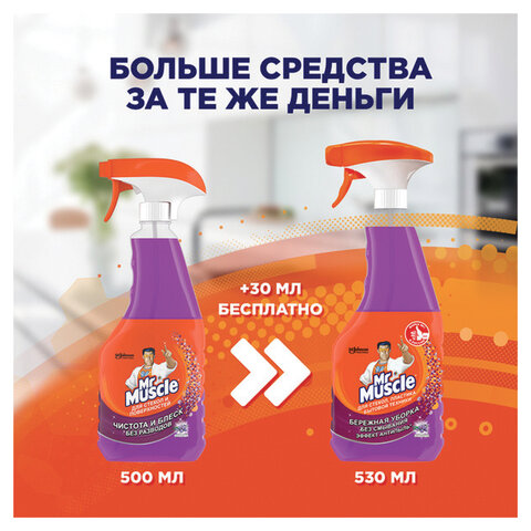 Средство для мытья стекол, пластика и бытовой техники 530 мл МИСТЕР МУСКУЛ «Лаванда», распылитель