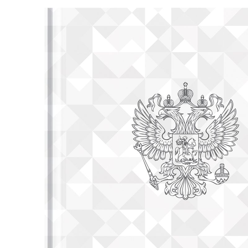 превью Дневник 1-11кл. 40л. (твердый) ArtSpace Российского школьника, глянцевая ламинация