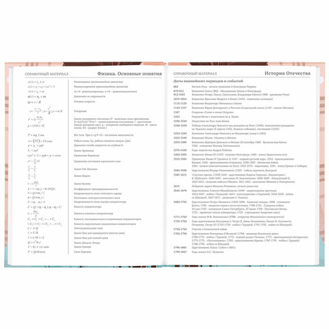 Дневник 5-11 класс 48 л., твердый, BRAUBERG, глянцевая ламинация, с подсказом, «Summer girl»