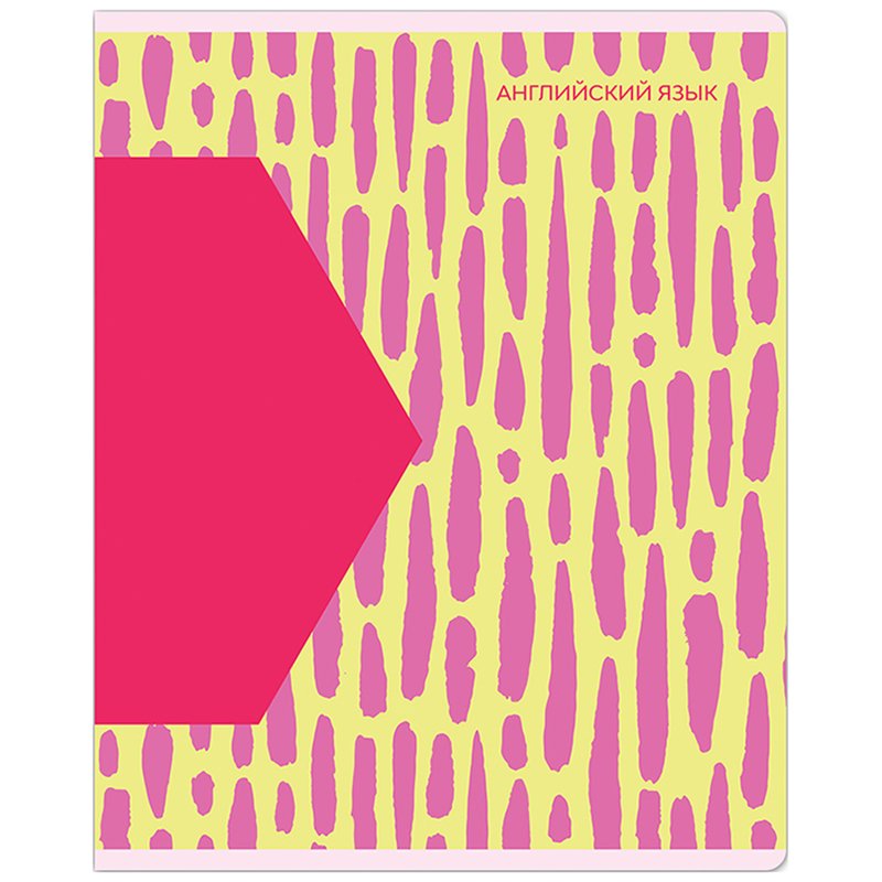 превью Тетрадь предметная 48л. MESHU «Bright splash» - Английский язык, матовая ламинация, выборочный УФ-лак