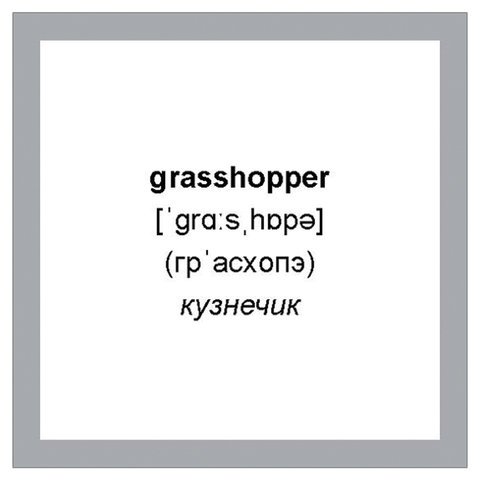 Карточки обучающие «500 самых нужных английских слов и фраз», Питер