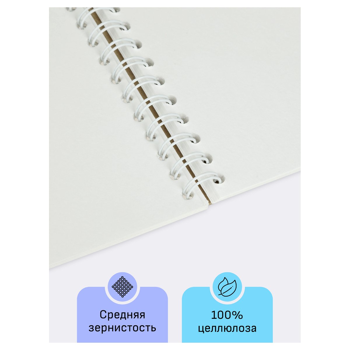 Альбом для акварели 24л., А5, на спирали Гамма «Студия», 200г/м2, среднее зерно