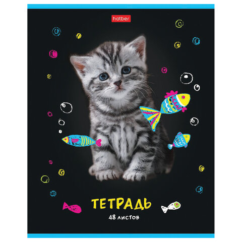 Тетрадь А5 48 л. HATBER скоба, клетка, глянцевая ламинация, «МУРчат Коты» (5 видов в спайке)