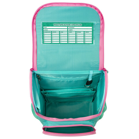 Ранец ПИФАГОР BASICс эргономичной спинкойBaby lama35×28х18 см229934