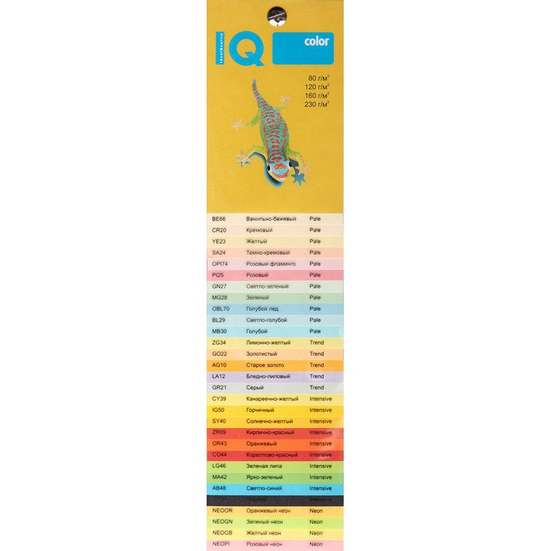 Бумага цветная IQ Color (A4, 80г/?, 5 цветов по 50 листов, 250 листов в пачке)