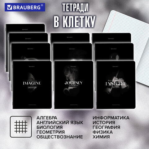 Тетради предметные, КОМПЛЕКТ 12 ПРЕДМЕТОВ, 48 л., матовая ламинация, BRAUBERG «SHADOWS»