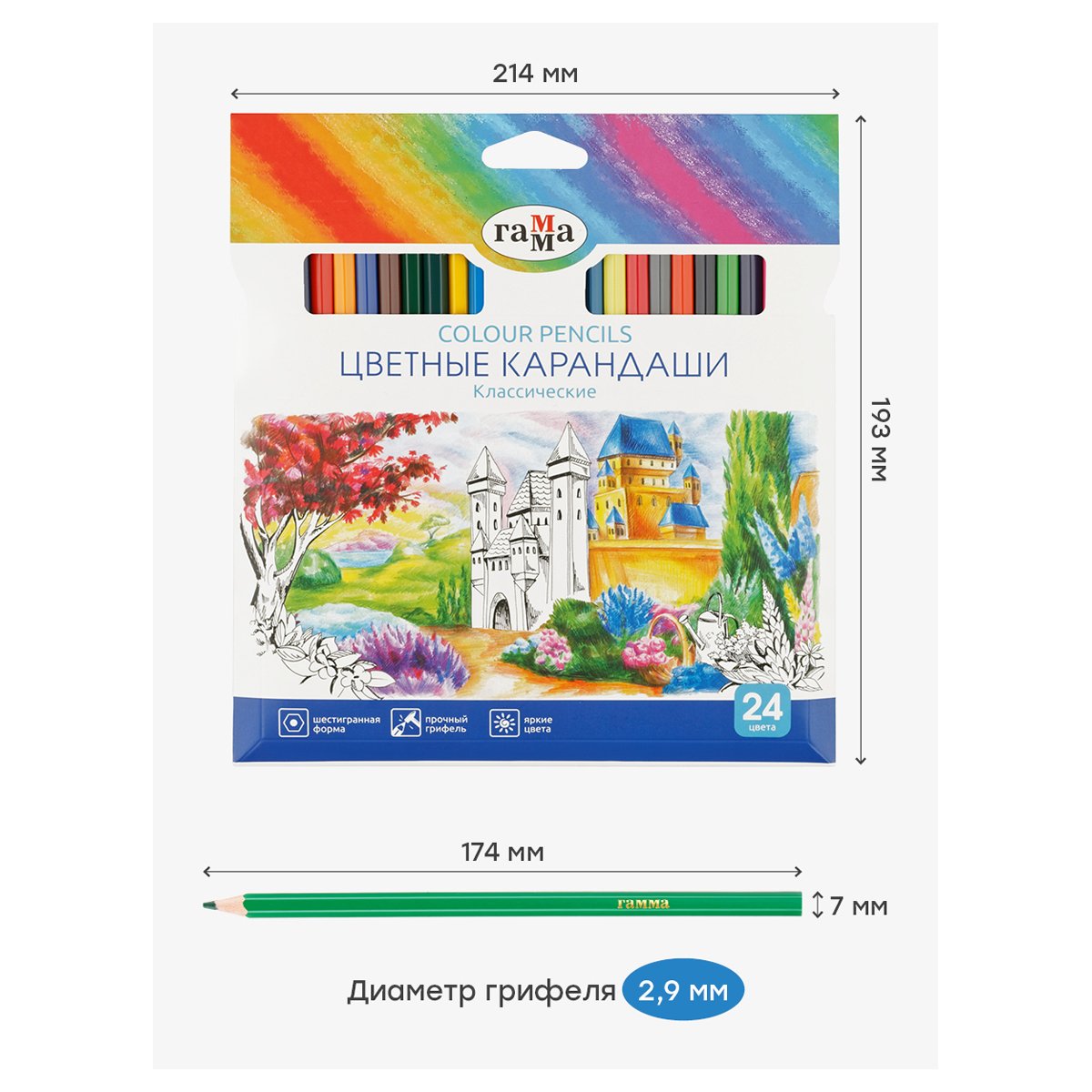Карандаши цветные Гамма «Классические», 24цв., заточен., картон. упаковка, европодвес
