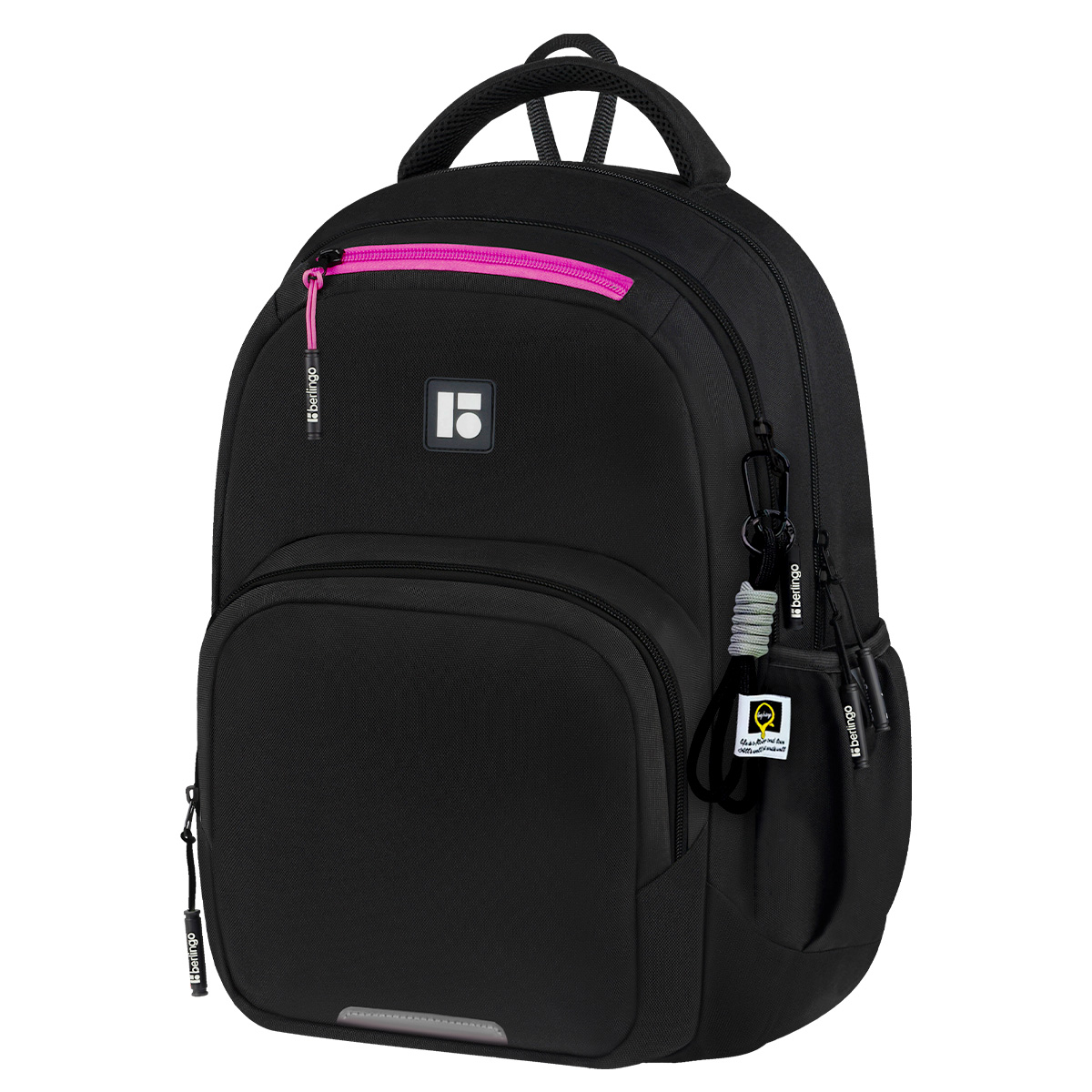 превью Рюкзак Berlingo ErgoFlex «Youth Fusion» 42×30×17см, 2 отделения, 4 кармана, эргономичная спинка