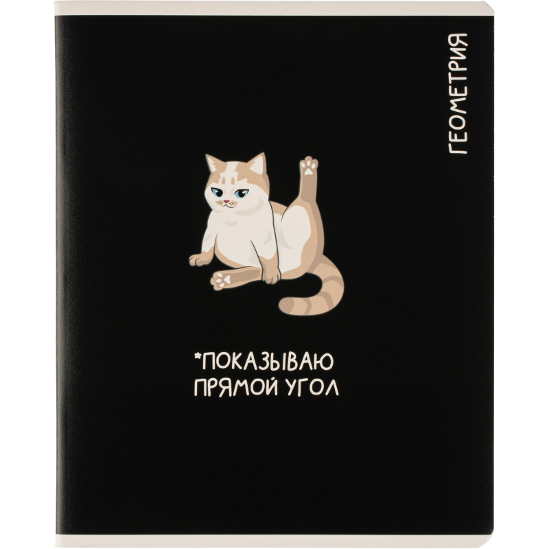 Тетрадь предметная КОТЫ МЕМЫ, набор12 шт.48л, А5+, клетка/линия/71449