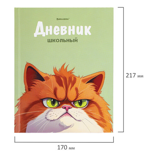 Дневник 5-11 класс 48 л., твердый, BRAUBERG, выборочный лак, с подсказом, «Суровый Кот»