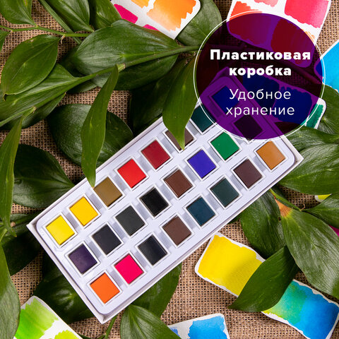 Акварель художественная в кюветах НАБОР 24 цвета по 2.5 г, BRAUBERG ART DEBUT