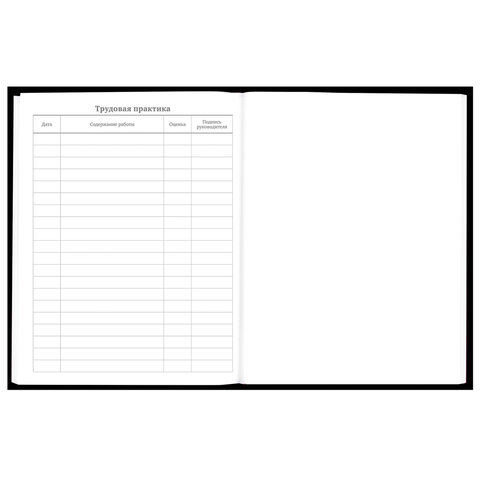 Дневник 5-11 класс 48 л., твердый, BRAUBERG, матовая ламинация, с подсказом, «Гуси»