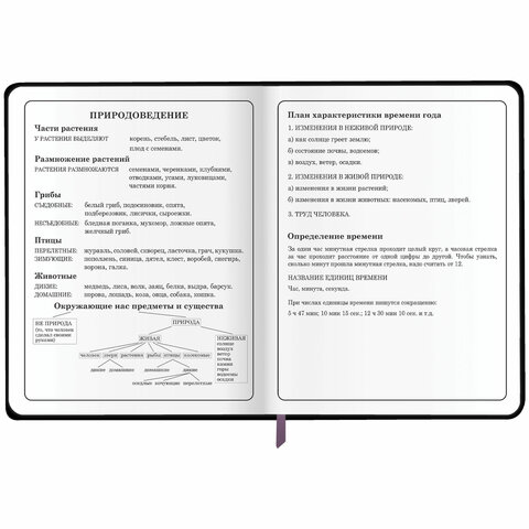 Дневник 1-4 класс 48 л., кожзам (гибкая), печать, фольга, ЮНЛАНДИЯ, «Котик»