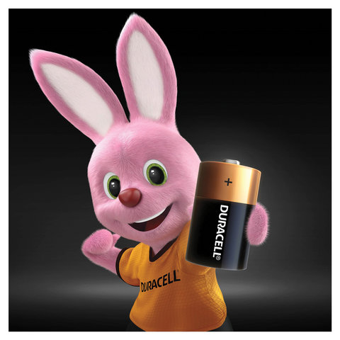 Батарейки Duracell D/373/LR20, 1.5В, алкалиновые, 2 шт. в блистере