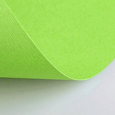 Бумага (картон) для творчества (1 лист) Fabriano Elle Erre А2+ 500×700 мм, 220 г/м2, светло-зеленый