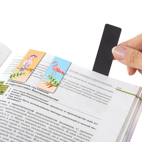 Закладки для книг МАГНИТНЫЕ, «MIX», набор 30 шт., 60×20 мм, BRAUBERG