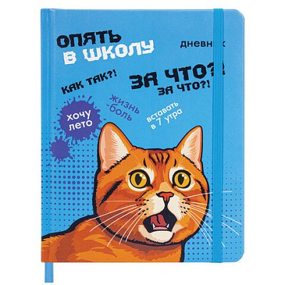 Дневник 1-11 класс 48 л., кожзам (твердая), печать, резинка, конверт, BRAUBERG, «Опять в школу»