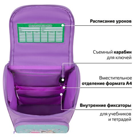 Ранец ПИФАГОР BASIC, 1 отделение, 3 кармана, эргономичная спинка, «Cat friends», 35×28х18 см