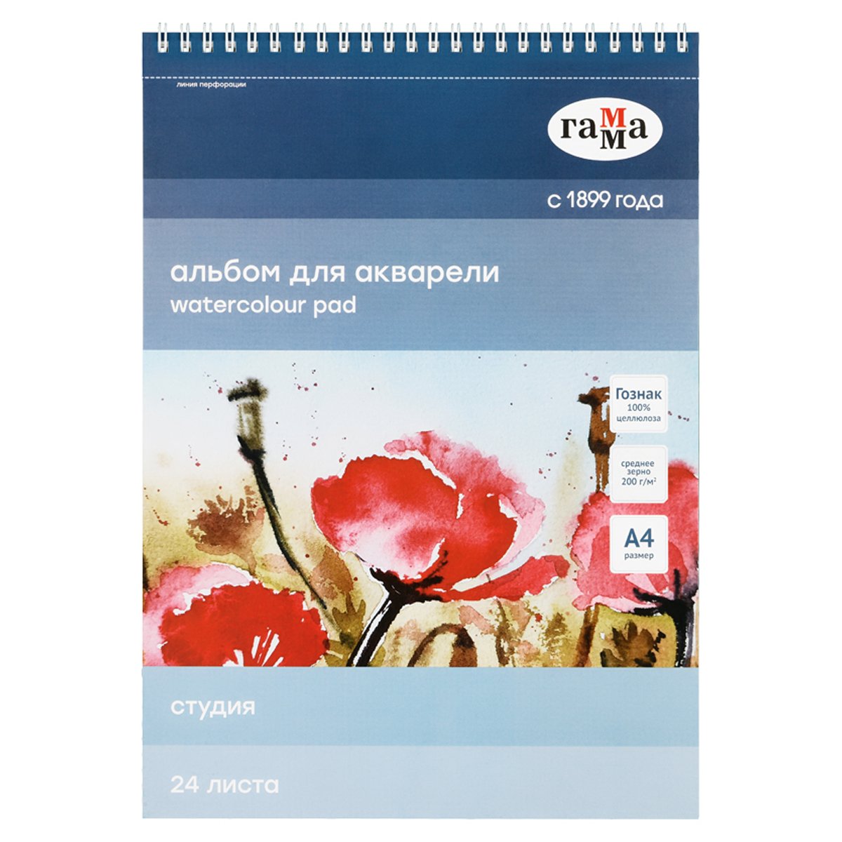 превью Альбом для акварели 24л., А4, на спирали Гамма «Студия», 200г/м2, среднее зерно, перфорация на отрыв
