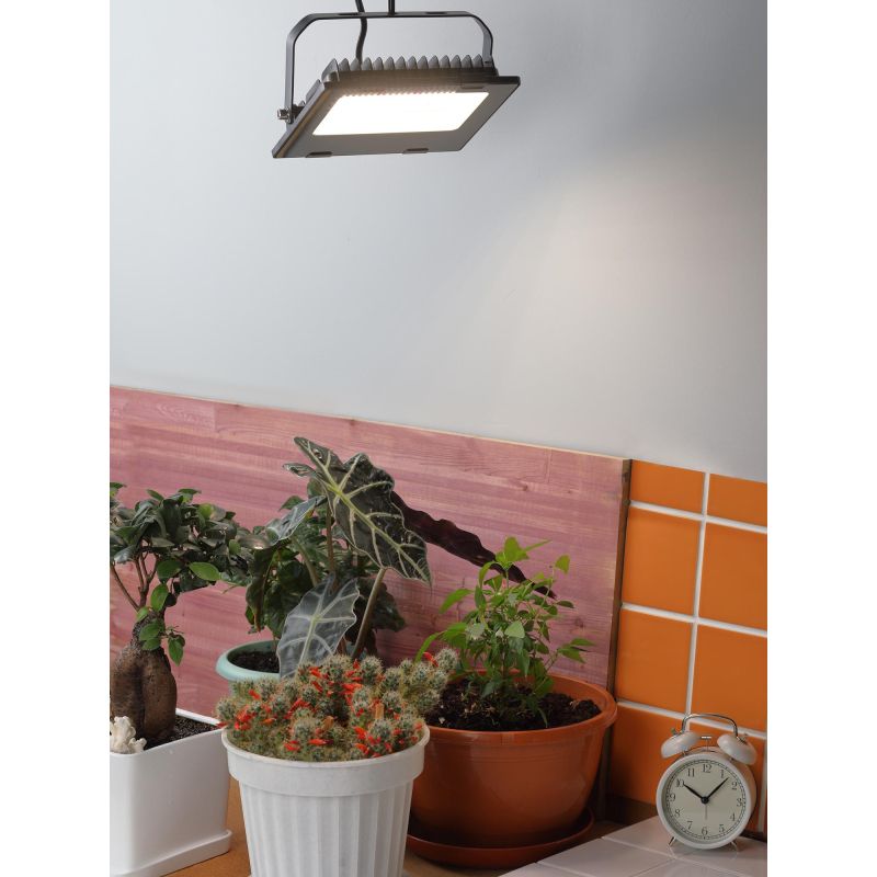 Фитосветильник прожектор для растений ЭРА FITO-50W-Ra90-LED (Б0047875)