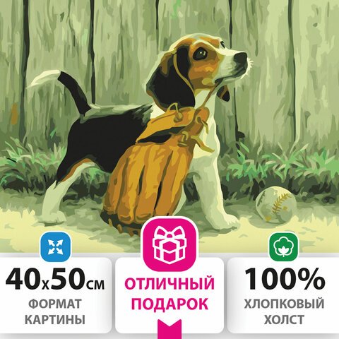 превью Картина по номерам 40×50 см, ОСТРОВ СОКРОВИЩ «Щенок бигля», на подрамнике, акриловые краски, 3 кисти