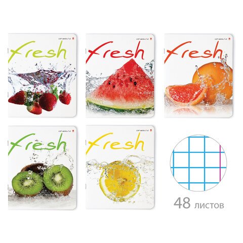 превью Тетрадь А5 48л. АЛЬТ скоба, клетка, глянцевый лак, Фрукты New (5 видов)