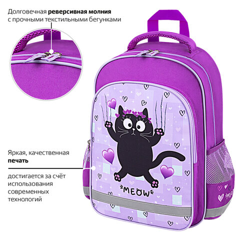 Рюкзак ПИФАГОР SCHOOL, 1 отделение, 3 кармана, «Falling cat», 38×28×14 см