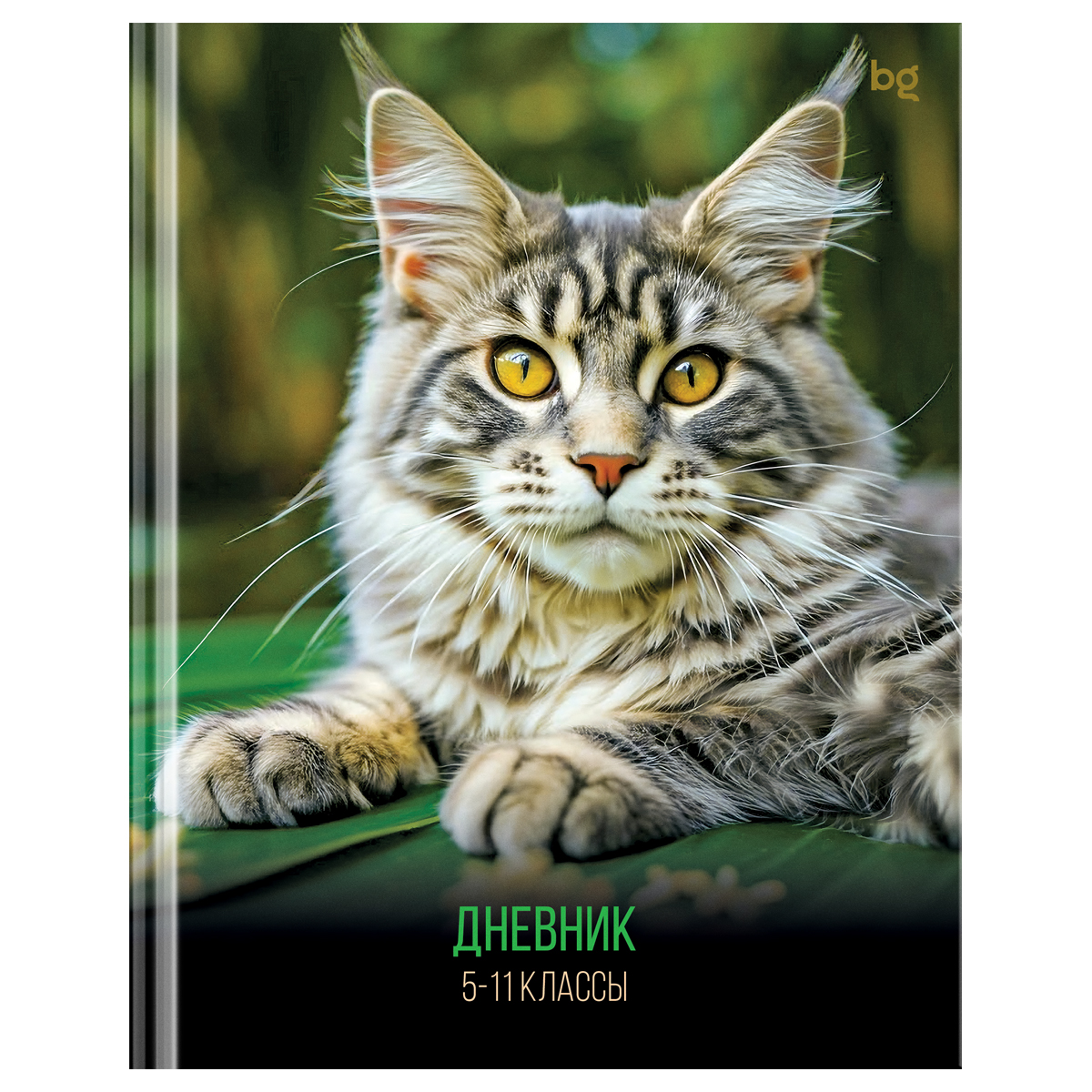 превью Дневник 5-11 кл. 48л. (твердый) BG «Кот», глянцевая ламинация