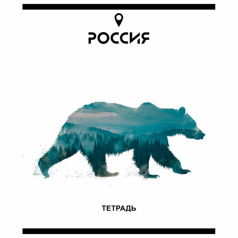 Тетрадь А5 48 л. ПЗБМ, скоба, клетка, Soft Touch, брайль, «Место Силы» (микс в спайке)