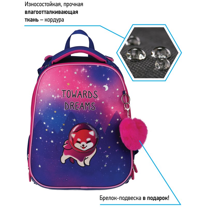 Ранец Berlingo Expert «Akita boy» 37×28×16см, 2 отделения, 2 кармана, анатомическая спинка