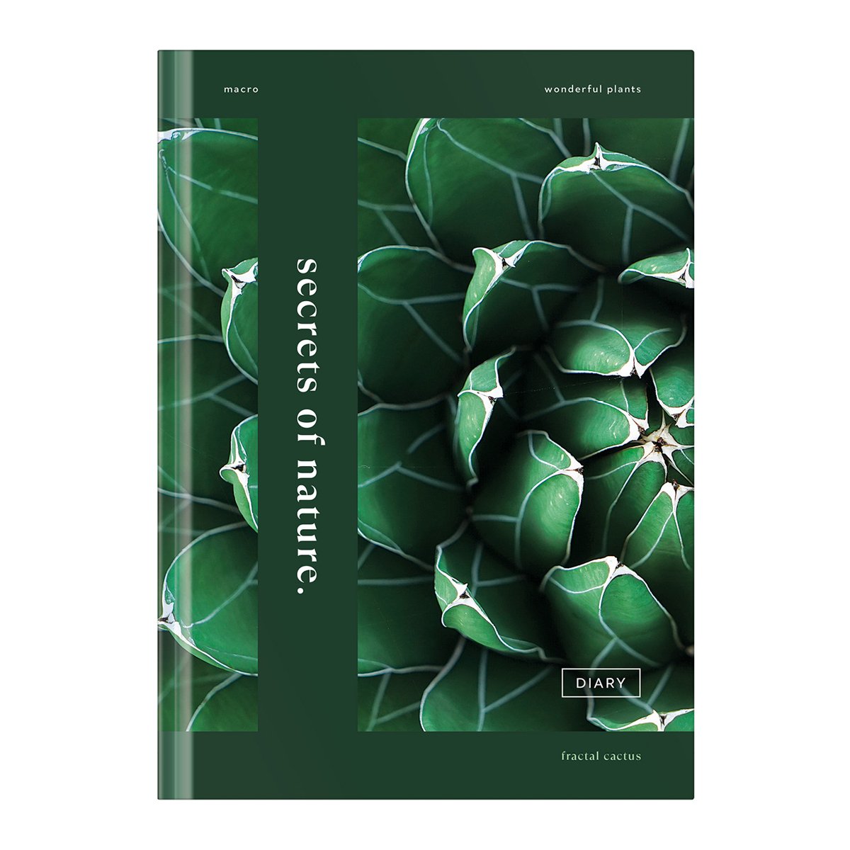 превью Записная книжка А5 64л. BG «Secrets nature», матовая ламинация, блок-еженедельник