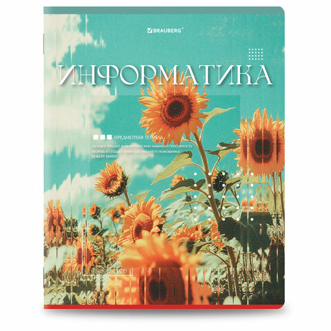 Тетради предметные, КОМПЛЕКТ 12 ПРЕДМЕТОВ, 48 л., глянцевый УФ-лак, BRAUBERG «ILLUSION»