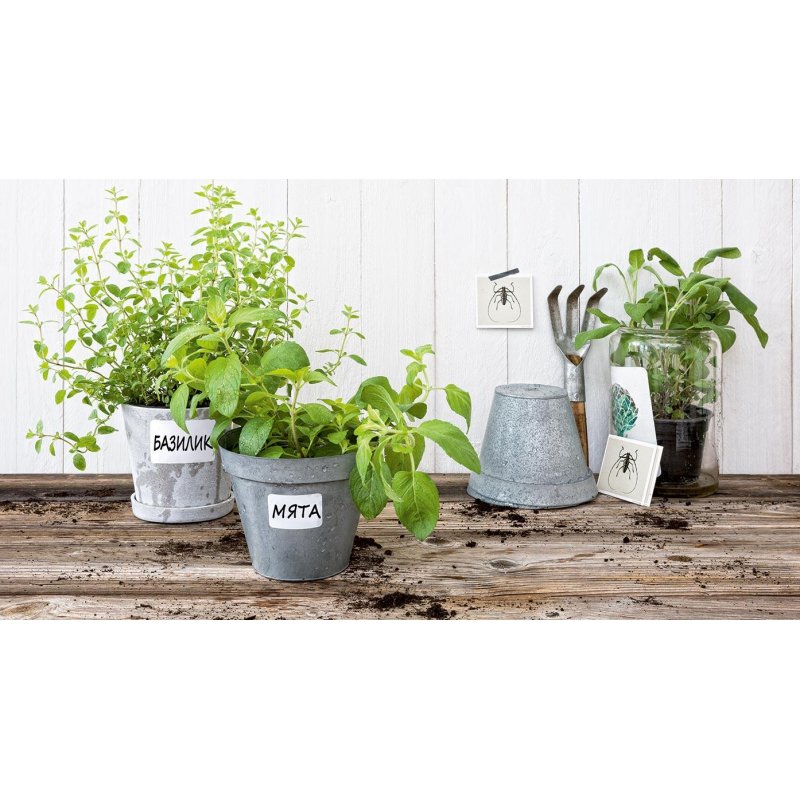 Этикетки самоклеящиеся Avery Zweckform Living всепогодные белые 47.5×35 мм (8-4 штуки на листе A4, 24 листа в упаковке)