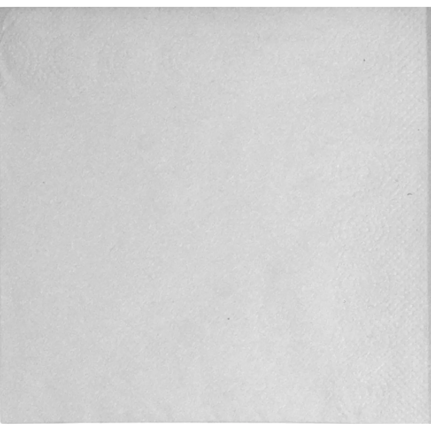 Салфетки бумажные сервировочные 24×24 см 2сл 100шт/уп