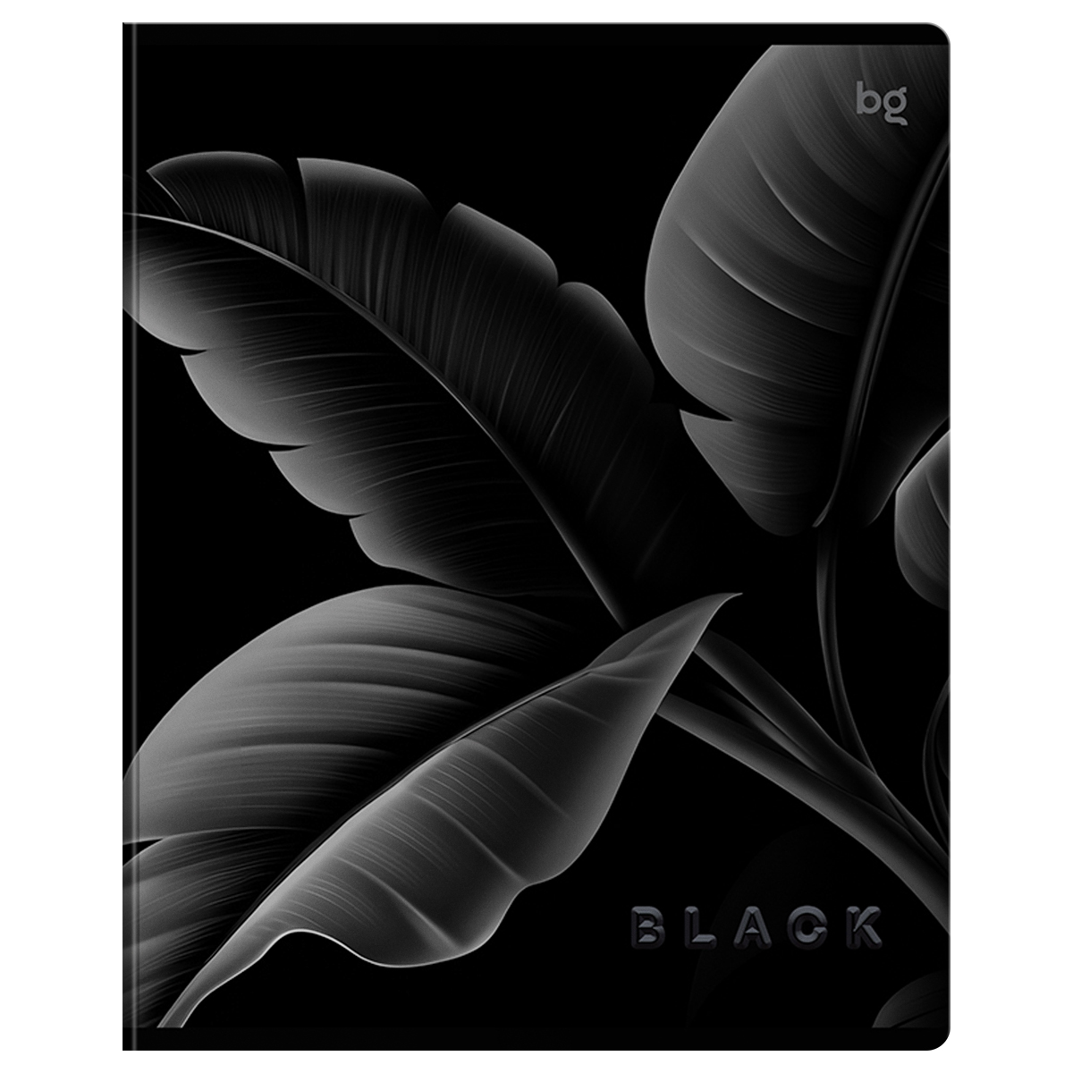 Тетрадь 80л., А5, клетка BG «Just Black», soft-touch ламинация, выб. лак