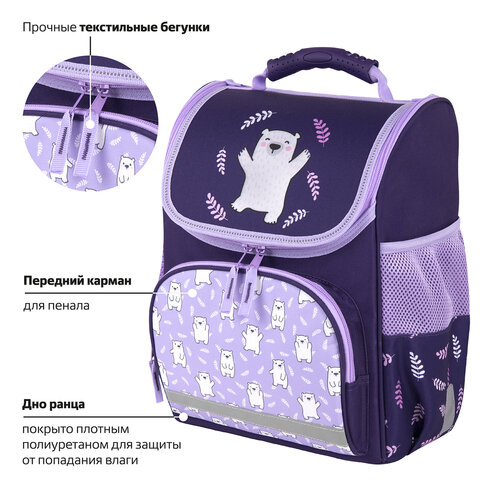 Ранец ПИФАГОР BASIC, 1 отделение, 3 кармана, эргономичная спинка, «Happy bear», 35×28х18 см