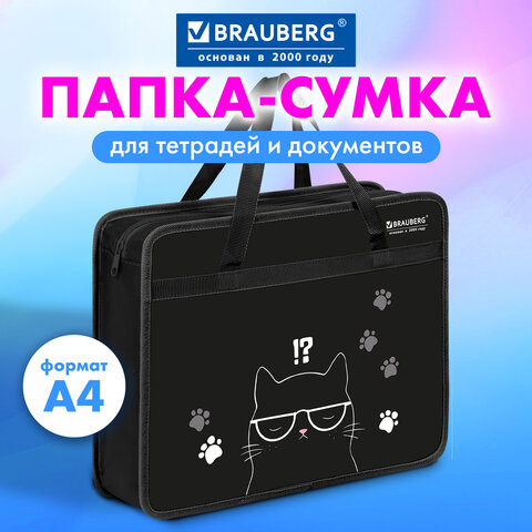 Папка на молнии с ручками BRAUBERG А4, 1 отделение, пластик, 80 мм, «Кот с характером»