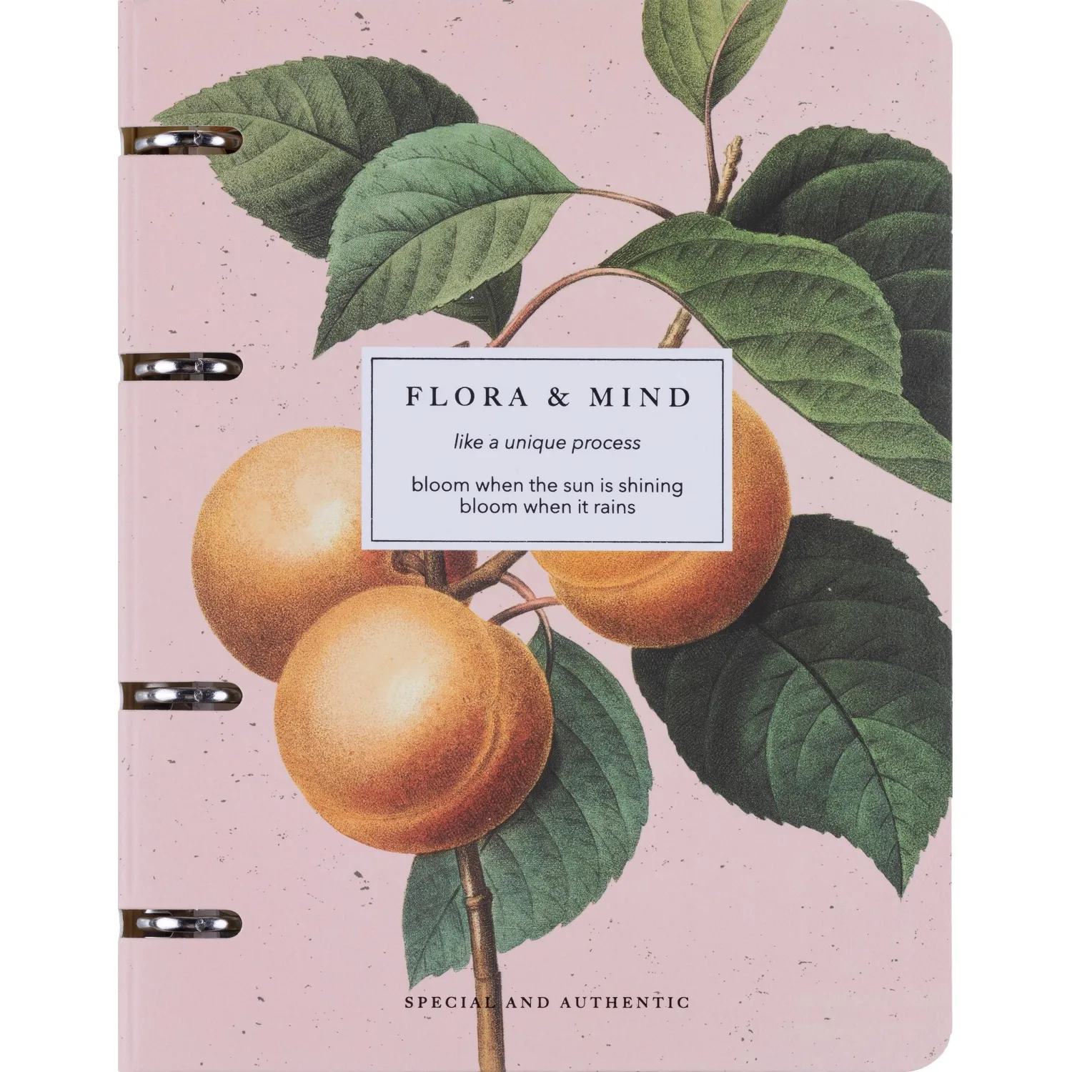 превью Тетрадь на кольцах со сменным блоком Be Smart Flora А5 120 листов с рисунком в клетку с перфорацией, матовая ламинация