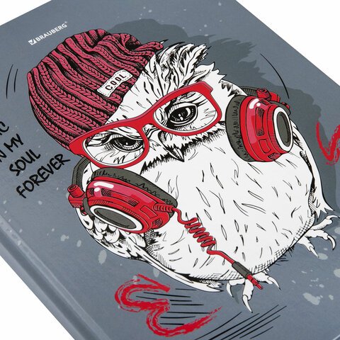 Дневник 1-11 класс 40 л., твердый, BRAUBERG, глянцевая ламинация, «Cool Owl»